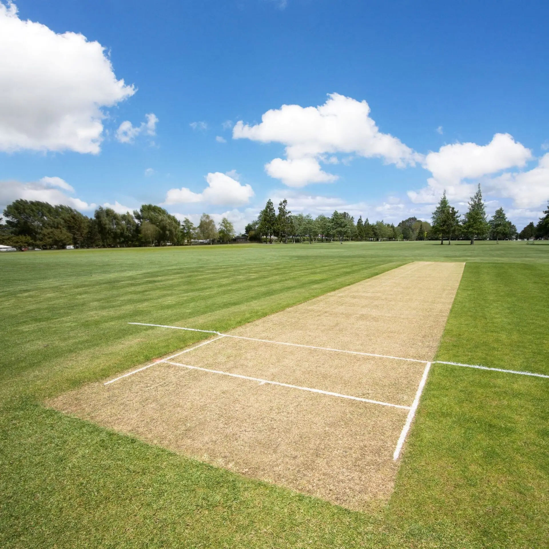 Freshly line-marked cricket pitch on a well-maintained green sports field under a clear blue sky.