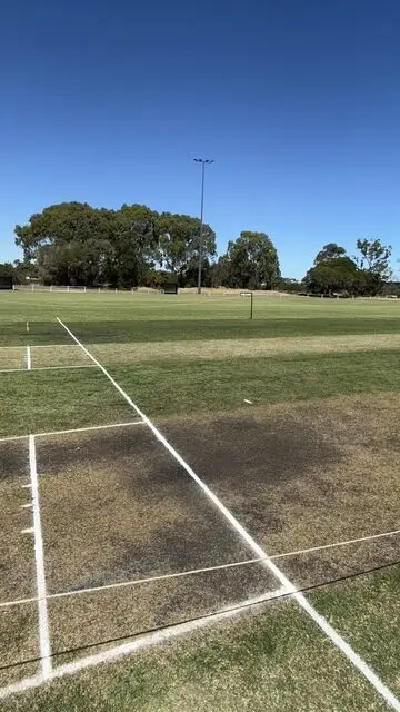 Freshly painted white cricket pitch line markings on an outdoor grass sports field.