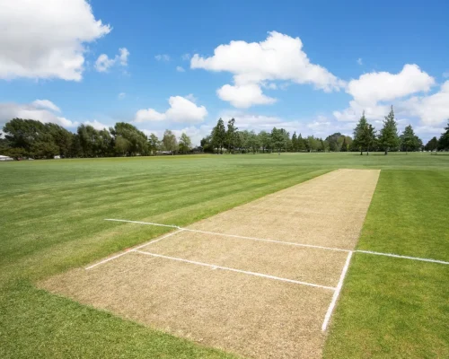 Freshly line-marked cricket pitch on a well-maintained green sports field under a clear blue sky.