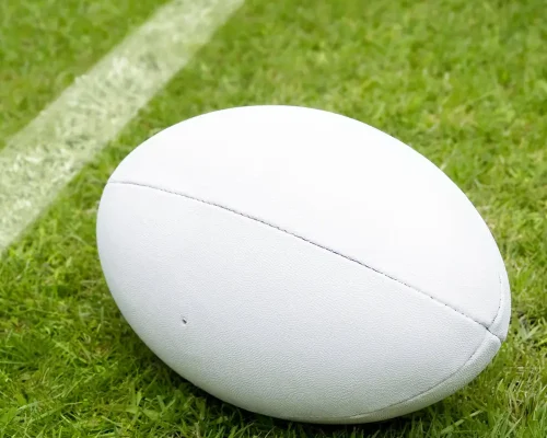 White rugby ball resting beside a freshly marked boundary line on a green grass sports field.